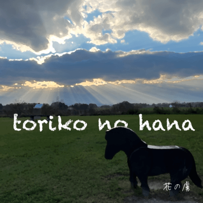 toriko no hana Front Cover