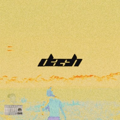 dash Front Cover