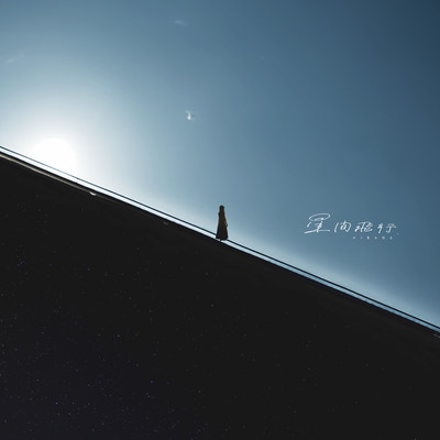 星間飛行のジャケット写真