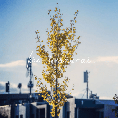 Koi - Wazurai Front Cover