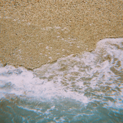 Seagrass Front Cover