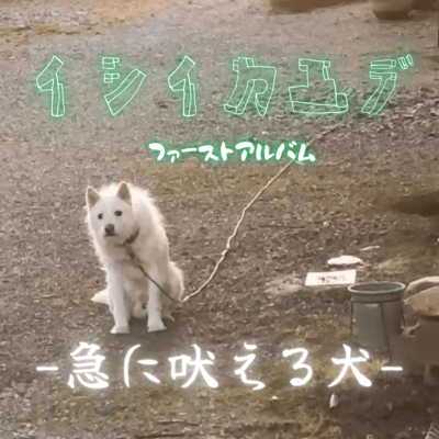 -急に吠える犬-のジャケット写真