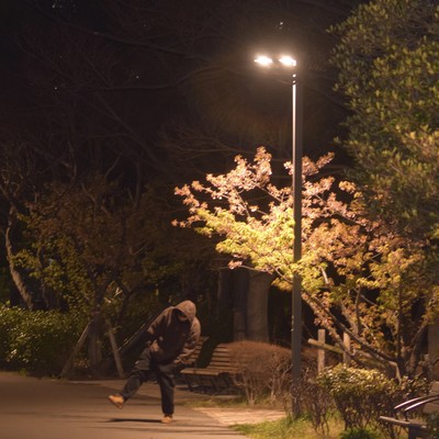 Street light Front Cover