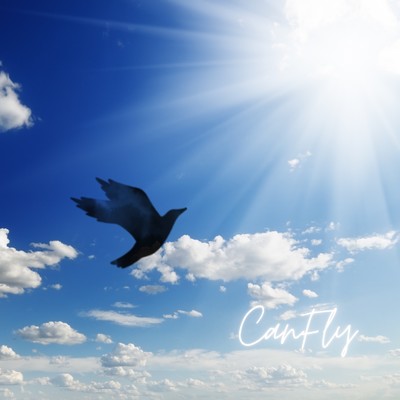 Can Fly Front Cover