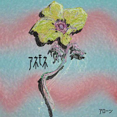 Anemone Front Cover
