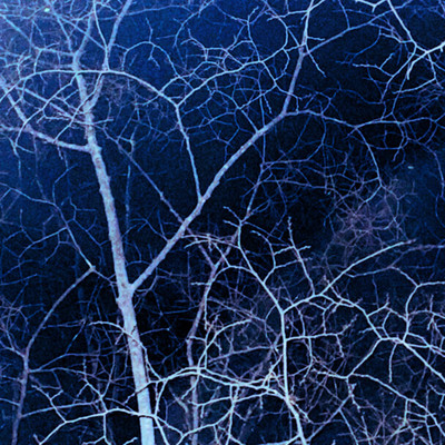 Chapter (feat. KID in the Day)のジャケット写真