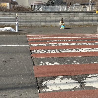 I WON'T LIE Front Cover