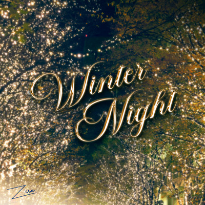 Winter Night Front Cover