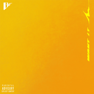 Want It Front Cover