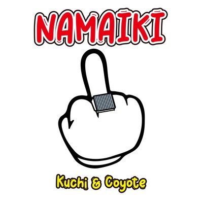NAMAIKI Front Cover