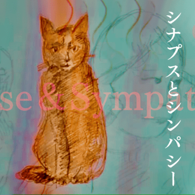 Synapse and Sympathy Front Cover