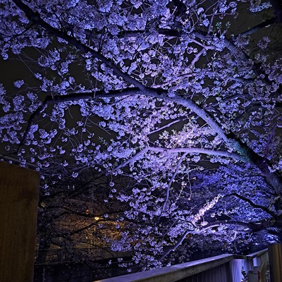 きっかけのジャケット写真