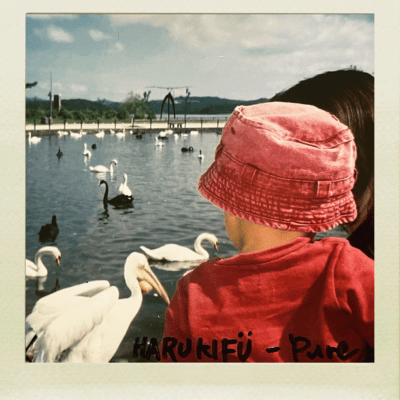 Pure Front Cover