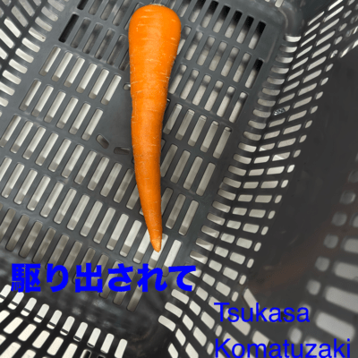 駆り出されてのジャケット写真