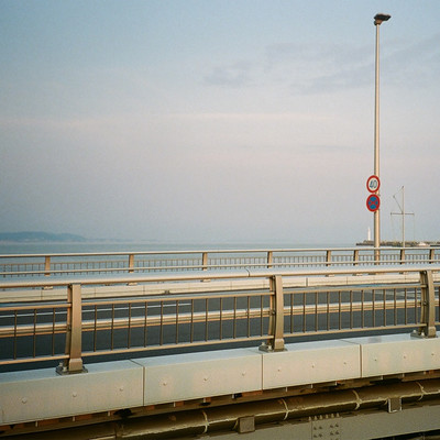 カレーのジャケット写真