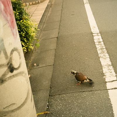 一人にしてのジャケット写真