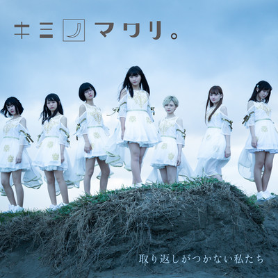 取り返しがつかない私たちのジャケット写真