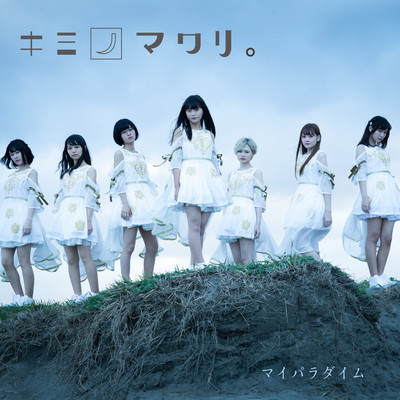 My Paradigm Front Cover