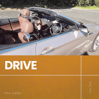 Drive Front Cover
