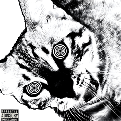 Naked Playerのジャケット写真