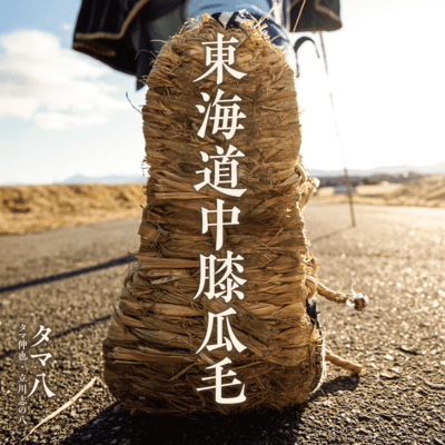 Tokaidochuhizaurige Front Cover