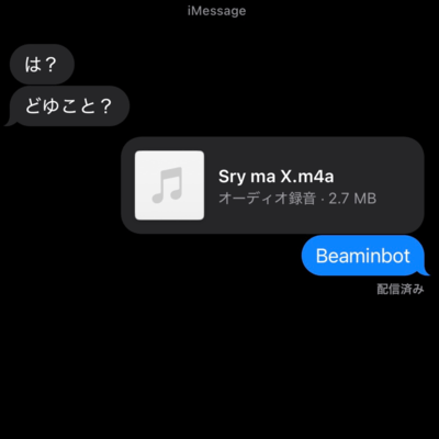 Sry ma Xのジャケット写真