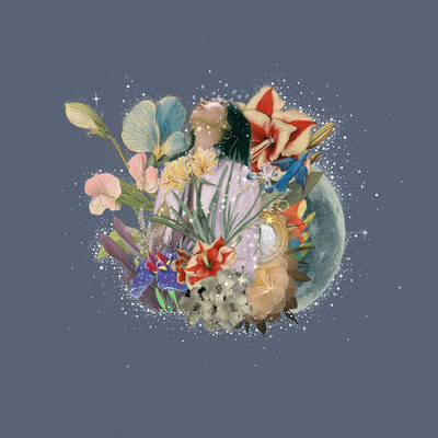 Nightveil Front Cover