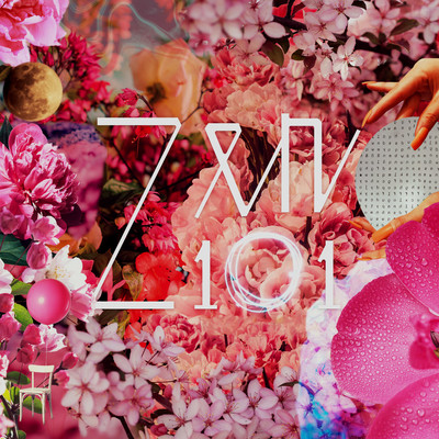 Zen 101 Front Cover
