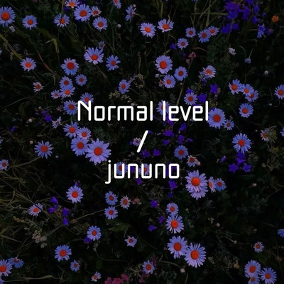 Normal level Front Cover