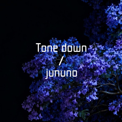 Tone downのジャケット写真