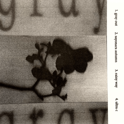 gray Front Cover