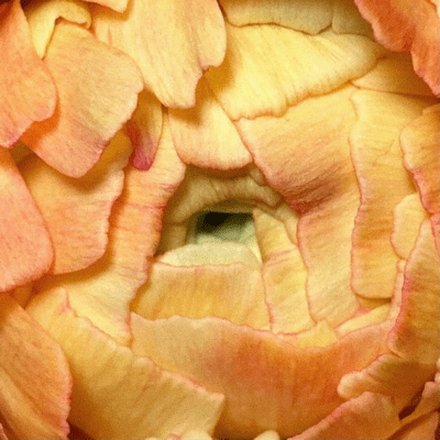 灯台のジャケット写真