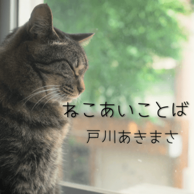 ねこあいことばのジャケット写真