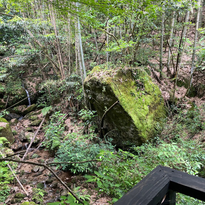 Summer recordのジャケット写真