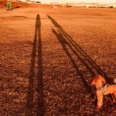 everyday Front Cover