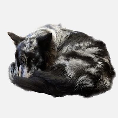 Forgetful angel Front Cover