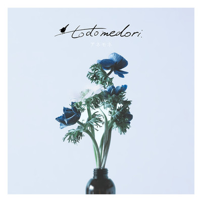 anemone Front Cover