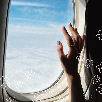 Blue Flight Front Cover