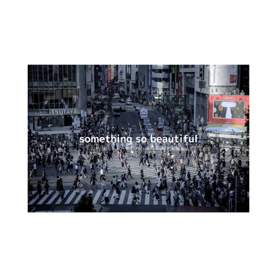 something so beautiful Front Cover