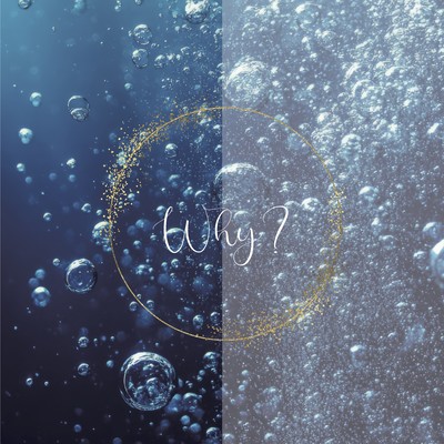 Why? Front Cover