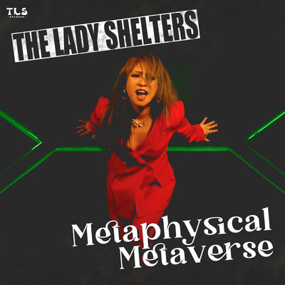 Metaphysical Metaverse Front Cover