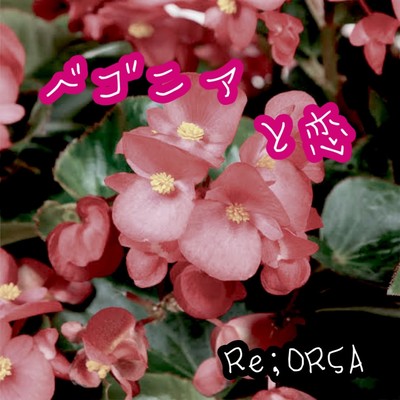 Begonia&Love Front Cover