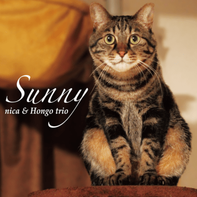 Sunny Front Cover