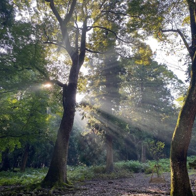 Heart Sutra Front Cover