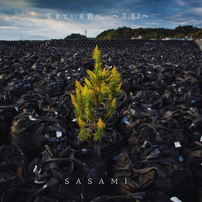 To you alive ~3.11~ Front Cover