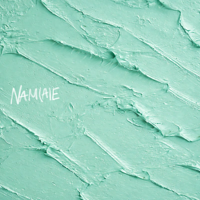 NAM (A) E Front Cover