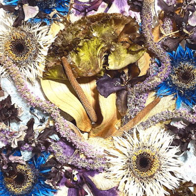 music club α Front Cover