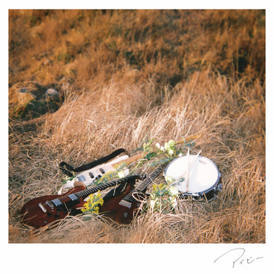 アイビーのジャケット写真