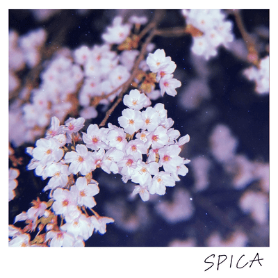 SPICAのジャケット写真