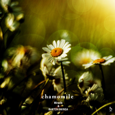 chamomileのジャケット写真